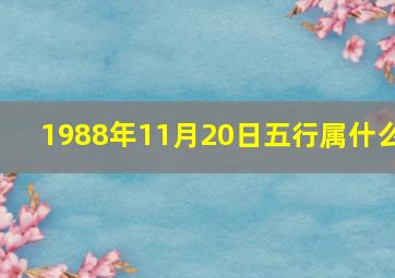 1988年11月20日五行属什么