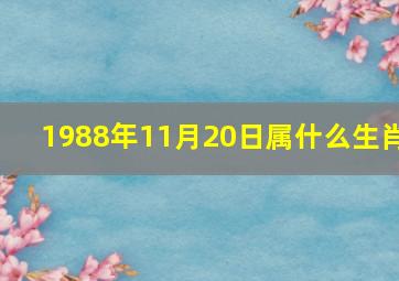 1988年11月20日属什么生肖