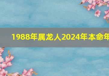 1988年属龙人2024年本命年