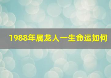 1988年属龙人一生命运如何