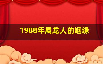 1988年属龙人的姻缘