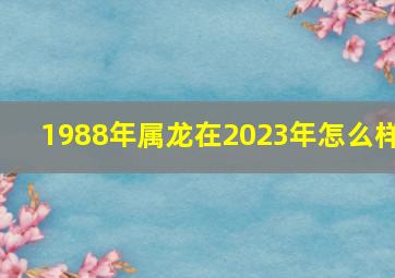 1988年属龙在2023年怎么样