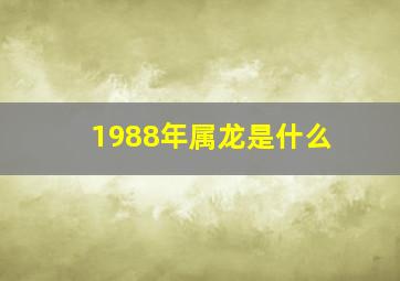 1988年属龙是什么