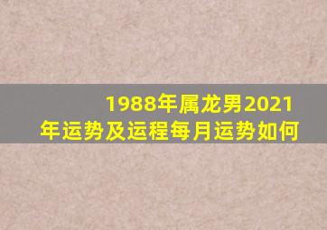 1988年属龙男2021年运势及运程每月运势如何