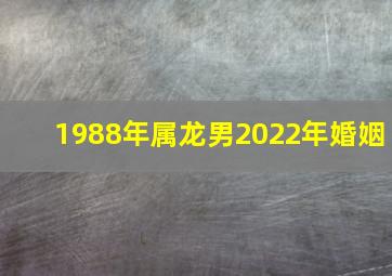 1988年属龙男2022年婚姻