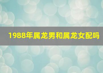 1988年属龙男和属龙女配吗