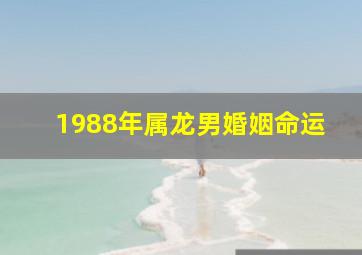 1988年属龙男婚姻命运