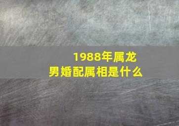 1988年属龙男婚配属相是什么