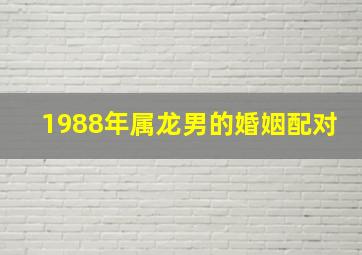 1988年属龙男的婚姻配对