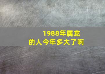 1988年属龙的人今年多大了啊