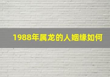 1988年属龙的人姻缘如何