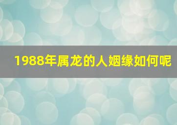 1988年属龙的人姻缘如何呢