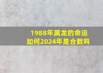 1988年属龙的命运如何2024年是合数吗