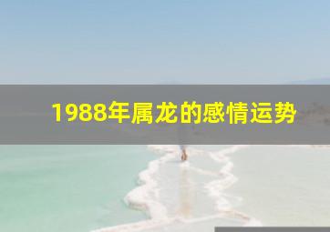 1988年属龙的感情运势