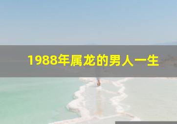 1988年属龙的男人一生