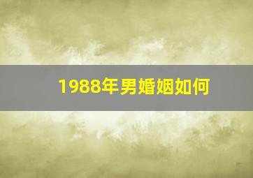 1988年男婚姻如何