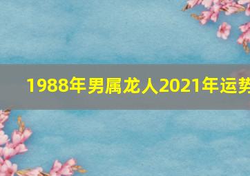 1988年男属龙人2021年运势