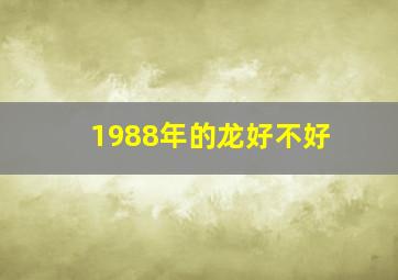 1988年的龙好不好