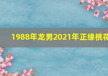 1988年龙男2021年正缘桃花