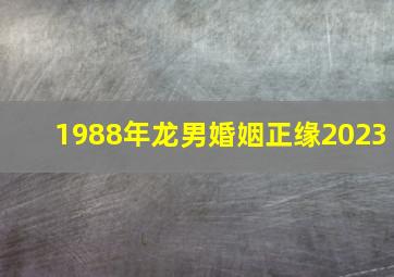 1988年龙男婚姻正缘2023