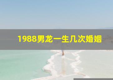 1988男龙一生几次婚姻