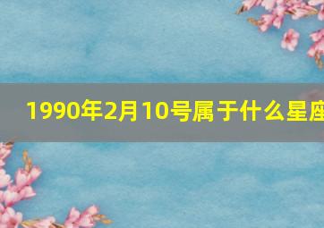 1990年2月10号属于什么星座