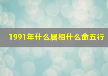 1991年什么属相什么命五行