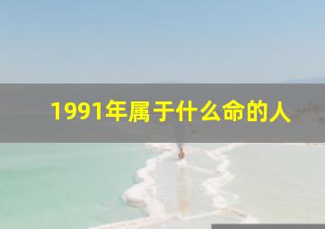 1991年属于什么命的人