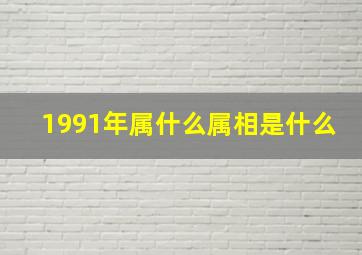 1991年属什么属相是什么