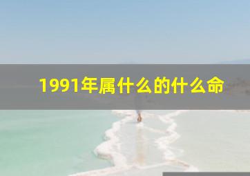 1991年属什么的什么命