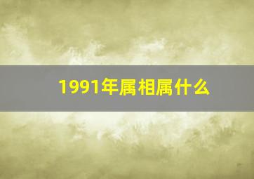 1991年属相属什么