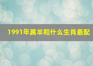 1991年属羊和什么生肖最配