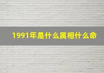 1991年是什么属相什么命