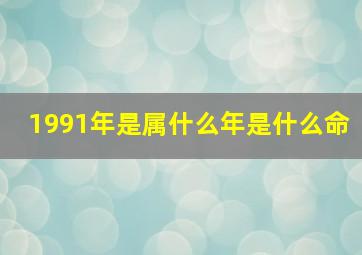 1991年是属什么年是什么命