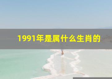 1991年是属什么生肖的