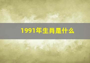 1991年生肖是什么