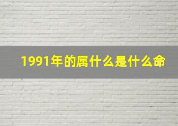 1991年的属什么是什么命