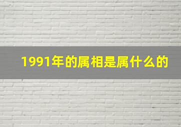 1991年的属相是属什么的