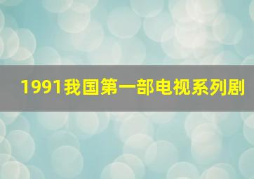 1991我国第一部电视系列剧