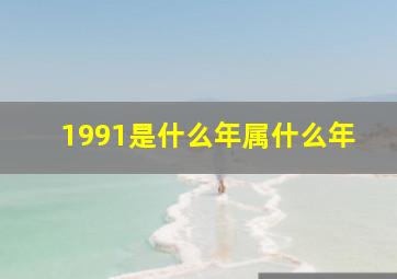 1991是什么年属什么年