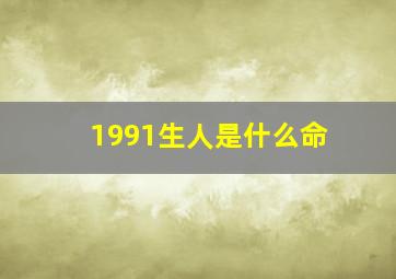 1991生人是什么命