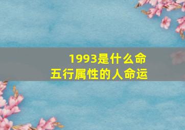 1993是什么命五行属性的人命运