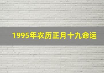 1995年农历正月十九命运