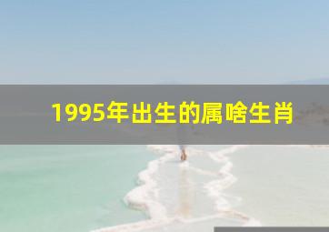 1995年出生的属啥生肖