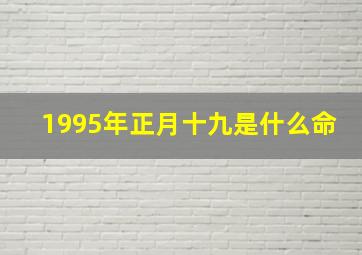 1995年正月十九是什么命