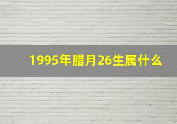 1995年腊月26生属什么