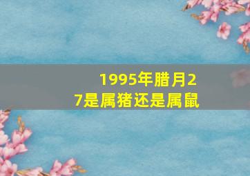 1995年腊月27是属猪还是属鼠