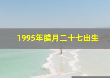 1995年腊月二十七出生