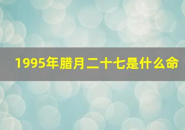 1995年腊月二十七是什么命