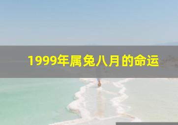 1999年属兔八月的命运